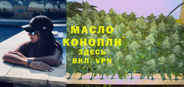 индика Краснотурьинск