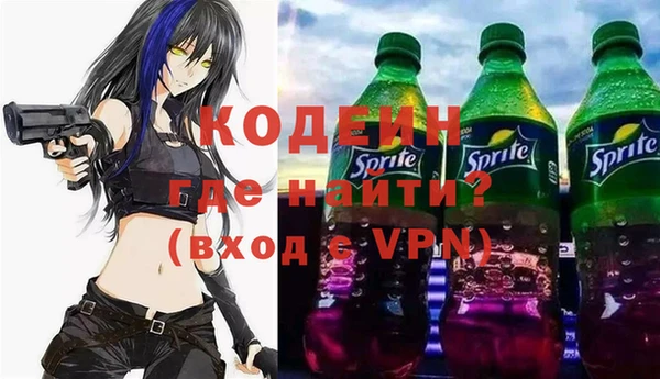 индика Краснотурьинск