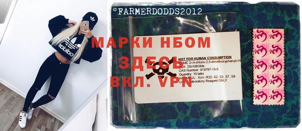 индика Краснотурьинск