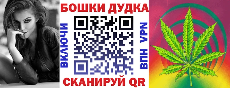 Бошки Шишки планчик  Тимашёвск 